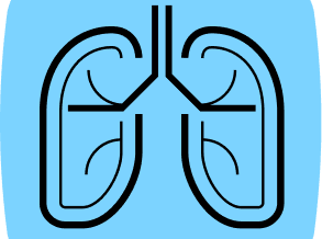 Un acteur français de l'IA propose deux outils TDM pour la détection du cancer